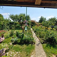 zdjecie ogloszenia