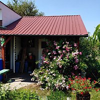 zdjecie ogloszenia