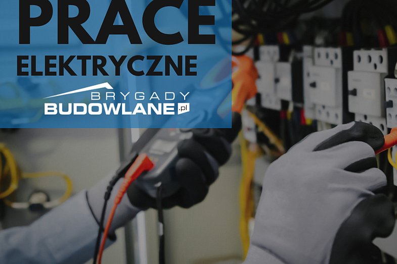 zdjecie ogloszenia