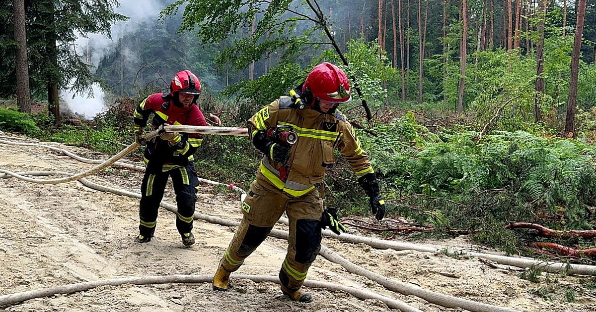 Ruszają szkolenia dla strażaków OSP. Jak się dostać? - HEJ.MIELEC.PL