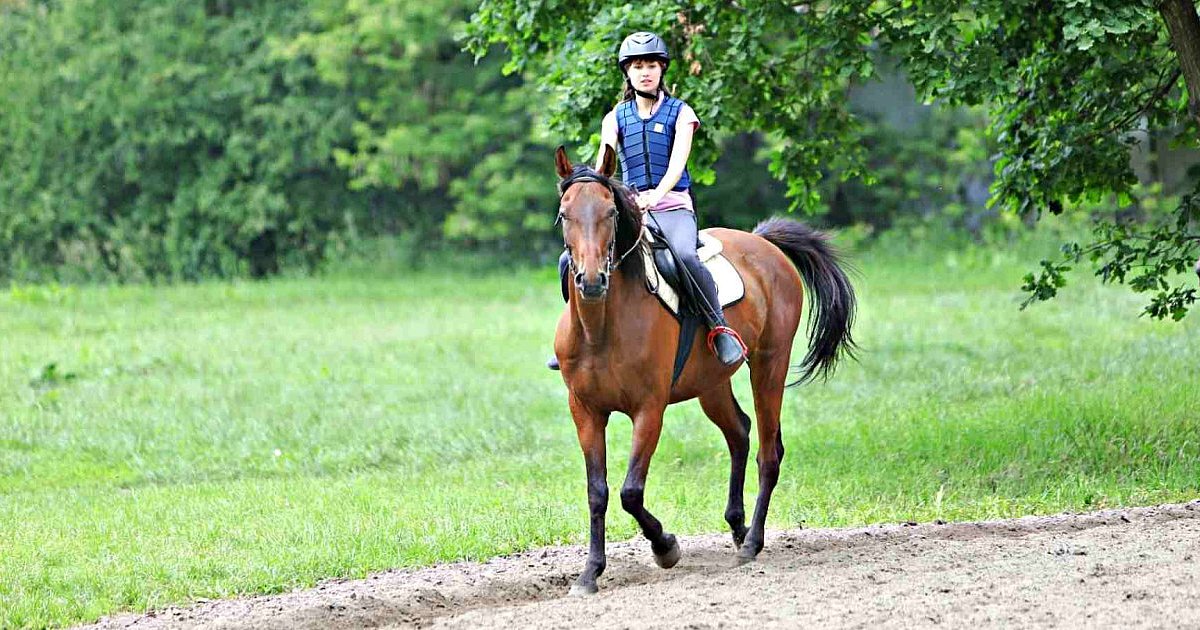 Przed nami Hubertus w Klubie Jeździeckim w Chorzelowie - HEJ.MIELEC.PL