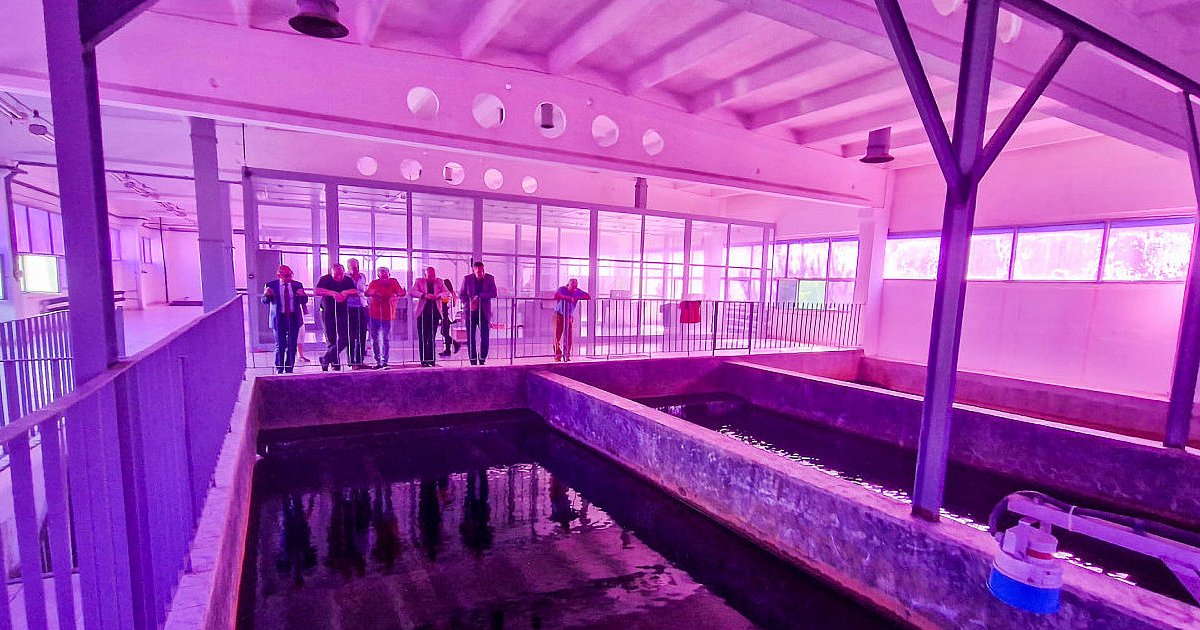 Mielec ma problemy z wodą? Mieszkańcy narzekają - HEJ.MIELEC.PL