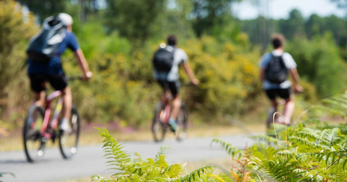 Nowa ścieżka rowerowa w powiecie? "Wzdłuż terenów leśnych" - HEJ.MIELEC.PL