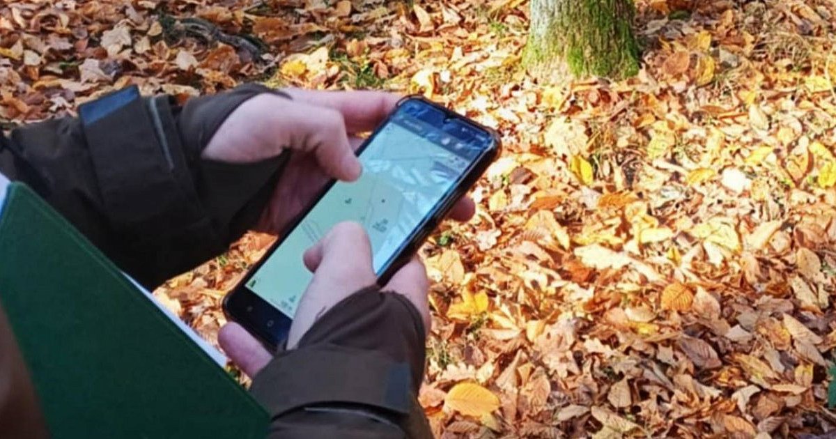 Zgłoszenia do leśników. Nadleśnictwo wyjaśnia - HEJ.MIELEC.PL