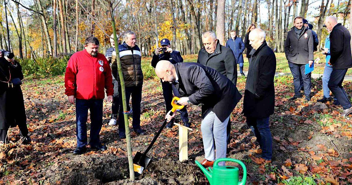 W Mielcu posadzono pamiątkowe drzewa z okazji 90-lecia Honorowego Krwiodawstwa [FOTO] - HEJ.MIELEC.PL