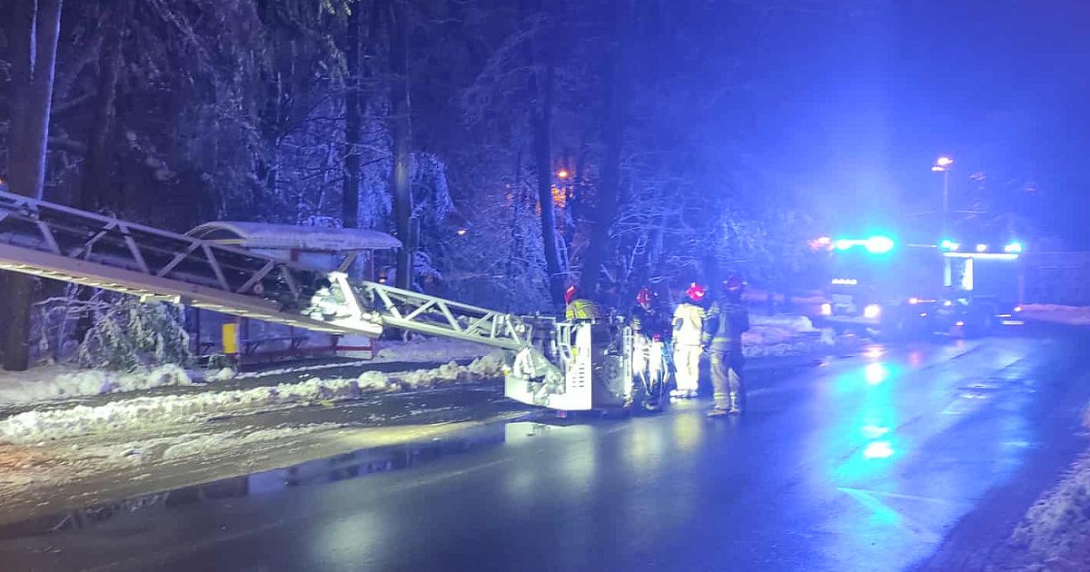 Okiść łamie drzewa w mieście: uszkodzone auta i przystanek - HEJ.MIELEC.PL
