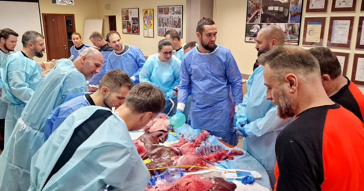 Nietypowe warsztaty w pogotowiu. "Na preparatach ze świni" - HEJ.MIELEC.PL