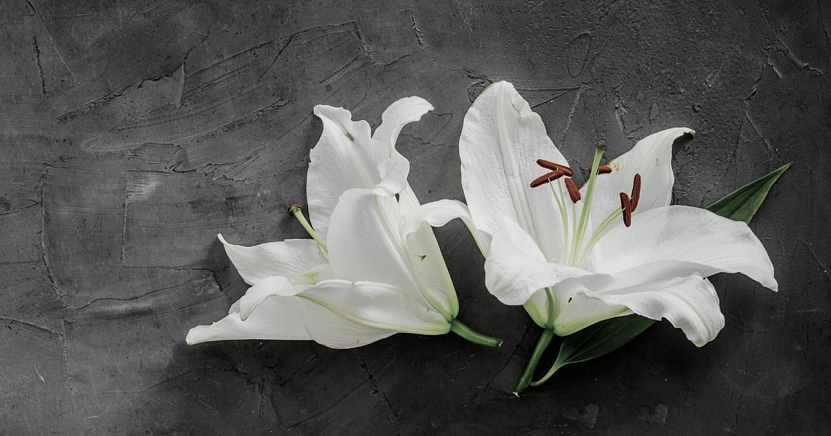 Kondolencje dla Bliskich śp. Mieczysława Wojtkowskiego - HEJ.MIELEC.PL