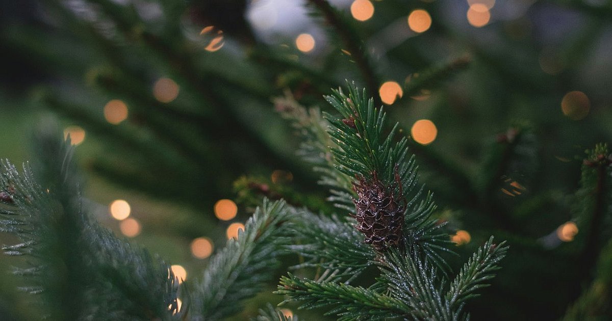 Świąteczne spotkanie z historią. Już 16 grudnia - HEJ.MIELEC.PL