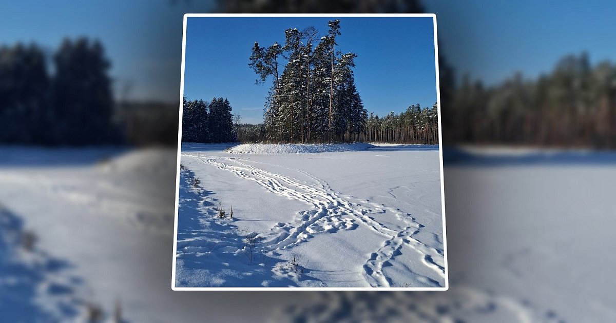 Spacery po zbiornikach wodnych? Nadleśnictwo alarmuje - HEJ.MIELEC.PL