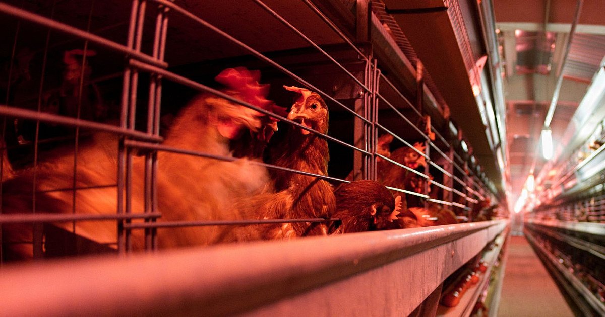 Wojewoda uchyliła rozporządzenie ws. powiatu mieleckiego - HEJ.MIELEC.PL