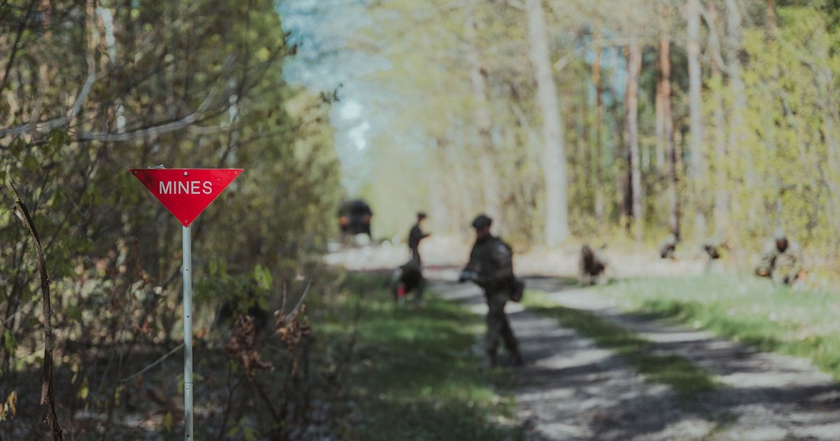 Wojskowe szkolenie w powiecie. Gmina informuje - HEJ.MIELEC.PL