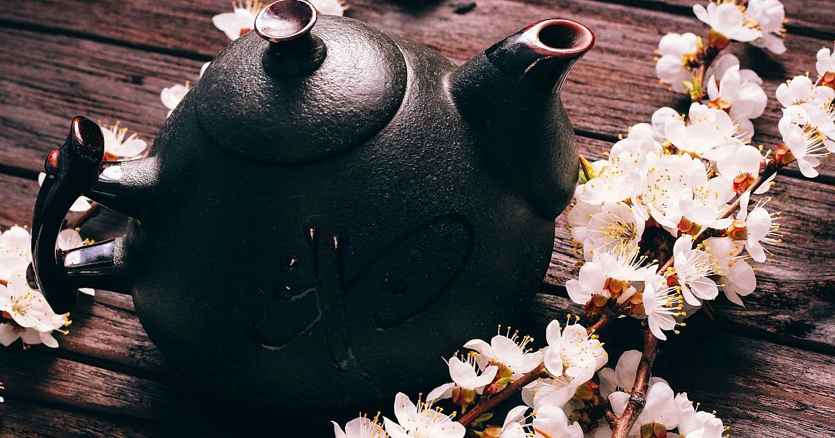 Podróż do Kraju Kwitnącej Wiśni. Spotkanie 27 lutego - HEJ.MIELEC.PL