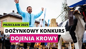 Dożynki Powiatu Mieleckiego - konkurs dojenia krow
