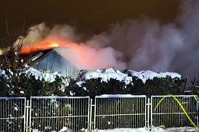 Pożar na ogrodach działkowych-13821