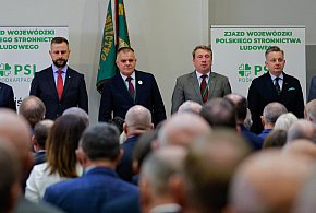 Historyczna uchwała działaczy PSL z Podkarpacia. Mowa o szpitalu-100452