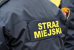 Zapuka strażnik, zapłacisz karę. Ruszyły kontrole w całej Polsce-101080