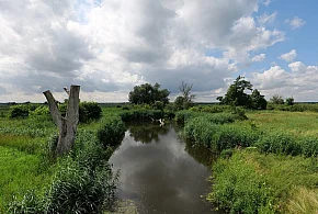 Co dalej z nowym parkiem narodowym? Minister klimatu zdradza plan po wecie-102190