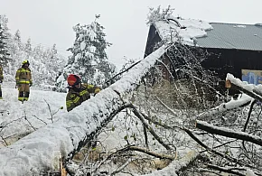 Podkarpackie: po ataku zimy ponad 1 tys. interwencji strażaków-102585