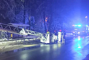 Okiść łamie drzewa w mieście: uszkodzone auta i przystanek-102657