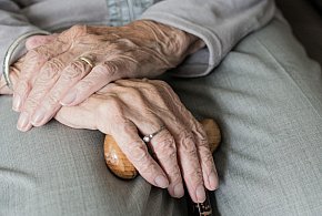 Te osoby dostaną dwie emerytury w grudniu. ZUS przesuwa przelewy-102712