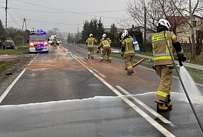 Olej na drodze wojewódzkiej. Akcja strażaków-102960