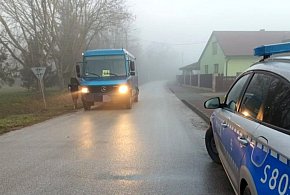 Pijany kierowca busa wiózł dzieci do szkoły-103347