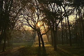 Nadchodzi najkrótszy dzień w 2025 roku. Sprawdź, kiedy przypadnie-103665