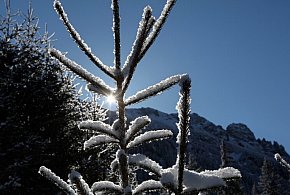 Czekają nas mroźne i słoneczne święta-103824
