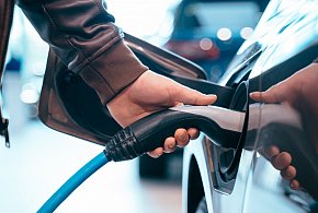 Coraz częściej dochodzi do takich kradzieży. Powody zaskakują-104805