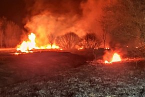 Pożar nieużytków w powiecie. Akcja służb