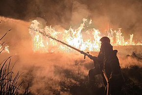 Lawina pożarów traw. Znamy statystyki