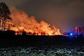 Pożar na granicy Malinia i Tuszowa!