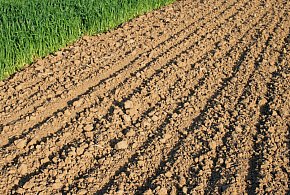 Rolnicy natrafili na niewybuch z II wojny światowej