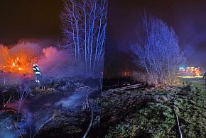 Trwa seria pożarów traw. Interwencja w Trzcianie