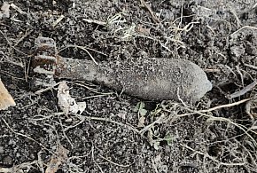 Policja pilnuje znaleziska w Dobryninie