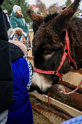 Orszak Trzech Króli w Gawłuszowicach-13805