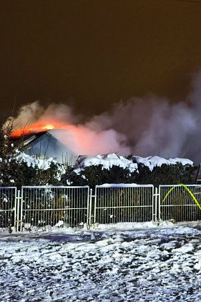 Pożar na ogrodach działkowych-13821