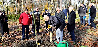 W Mielcu posadzono pamiątkowe drzewa z okazji 90-lecia Honorowego Krwiodawstwa-102218