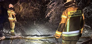 W regionie prądu nie ma ponad 134,7 tys. odbiorców, kłopoty na lokalnych drogach-102588