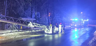 Okiść łamie drzewa w mieście: uszkodzone auta i przystanek-102657