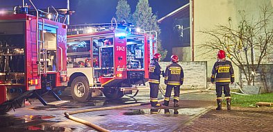 Pożar domu mieszkalnego, służby na miejscu-102828