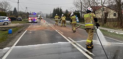 Olej na drodze wojewódzkiej. Akcja strażaków-102960