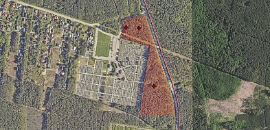 Cmentarz Komunalny będzie większy. Najpierw wycinka drzew-102993