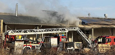 Pożar zakładu w Trzcianie. Akcja gaśnicza-103503