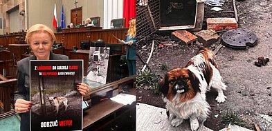 Skowrońska w Sejmie z wymownym zdjęciem. „Zakończmy cierpienie”-103634