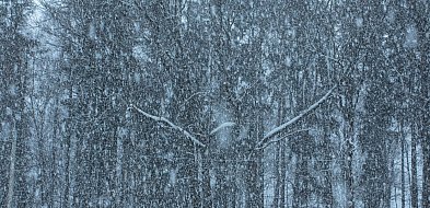 Ostrzeżenie dla powiatu: zawieje śnieżne-104380