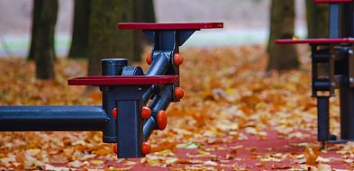 Utrzymanie placów zabaw i siłowni. Jedna oferta usług