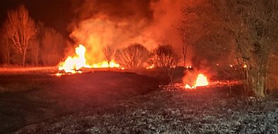 Pożar nieużytków w powiecie. Akcja służb