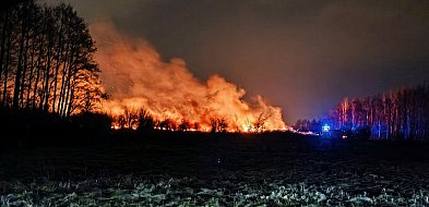 Pożar na granicy Malinia i Tuszowa!